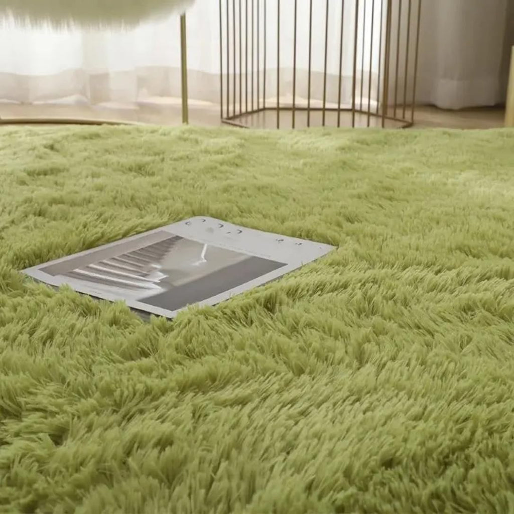 Plush Carpets for Living Room Bedroom Anti-Slip Floor Mats Fluffy Shaggy Fuzzy Area Rug Fashion Home Décor