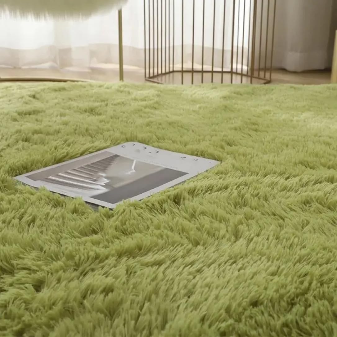 Plush Carpets for Living Room Bedroom Anti-Slip Floor Mats Fluffy Shaggy Fuzzy Area Rug Fashion Home Décor