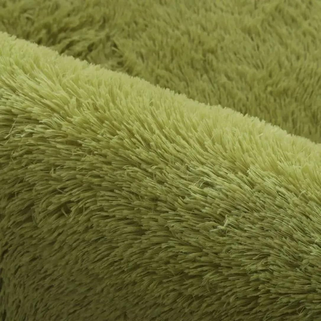 Plush Carpets for Living Room Bedroom Anti-Slip Floor Mats Fluffy Shaggy Fuzzy Area Rug Fashion Home Décor